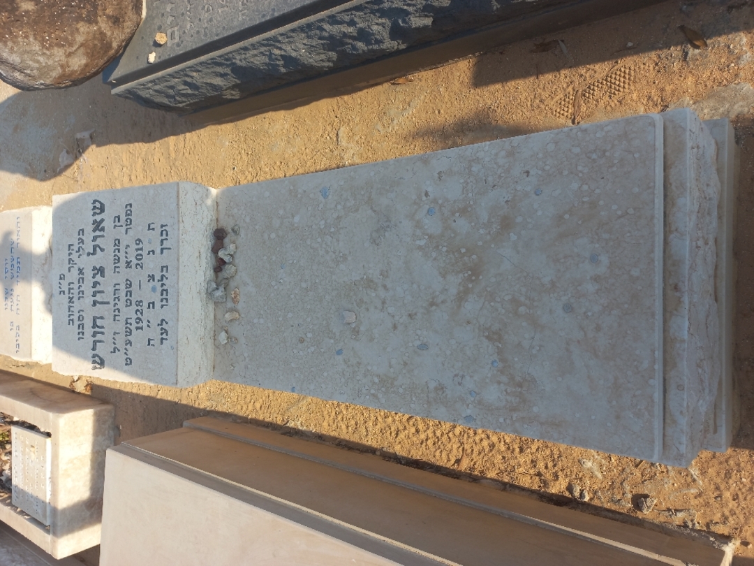 קברו של שאול ציון חורש