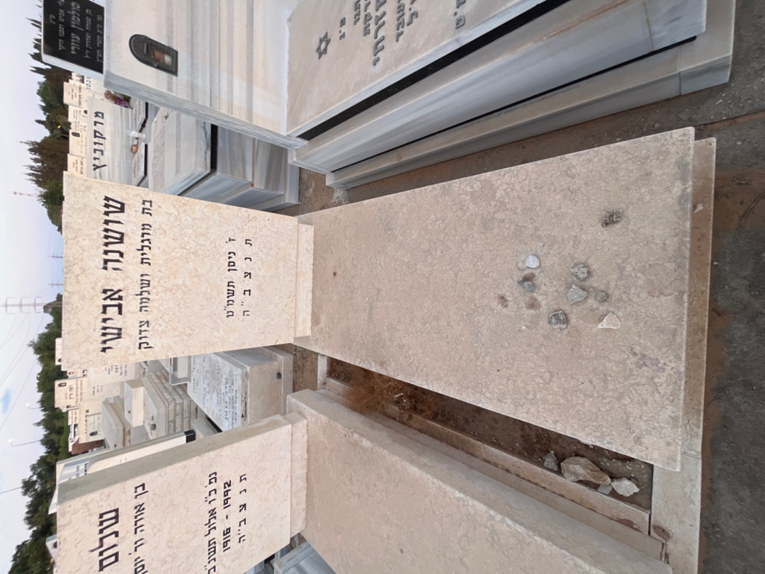 קברו של שושנה אבישי. תמונה 1