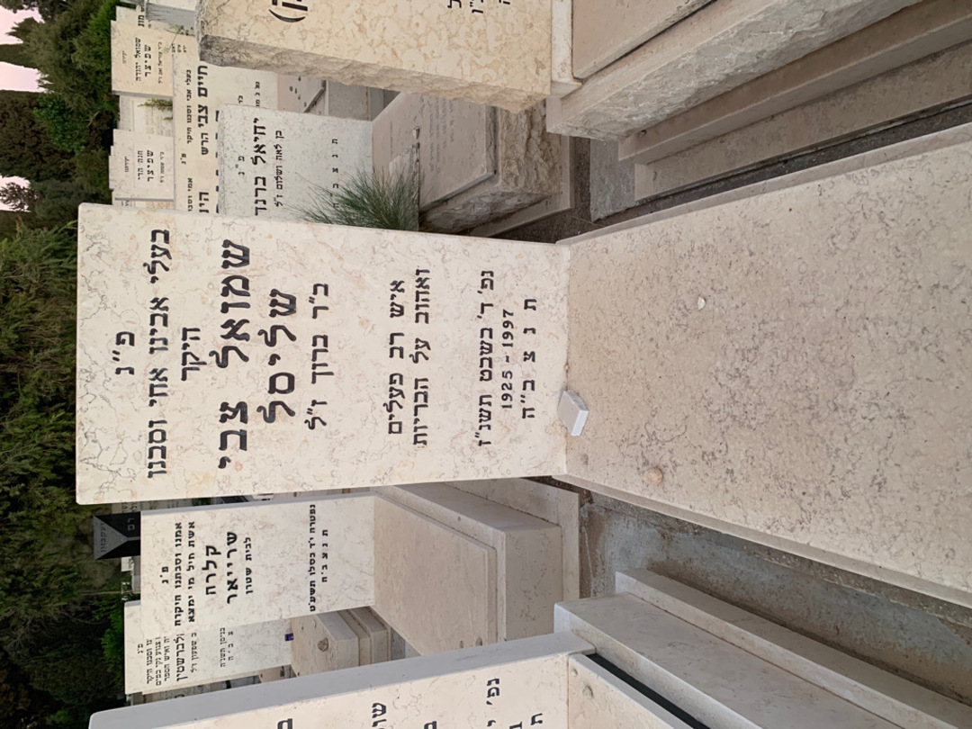 קברו של שמואל צבי שליסל