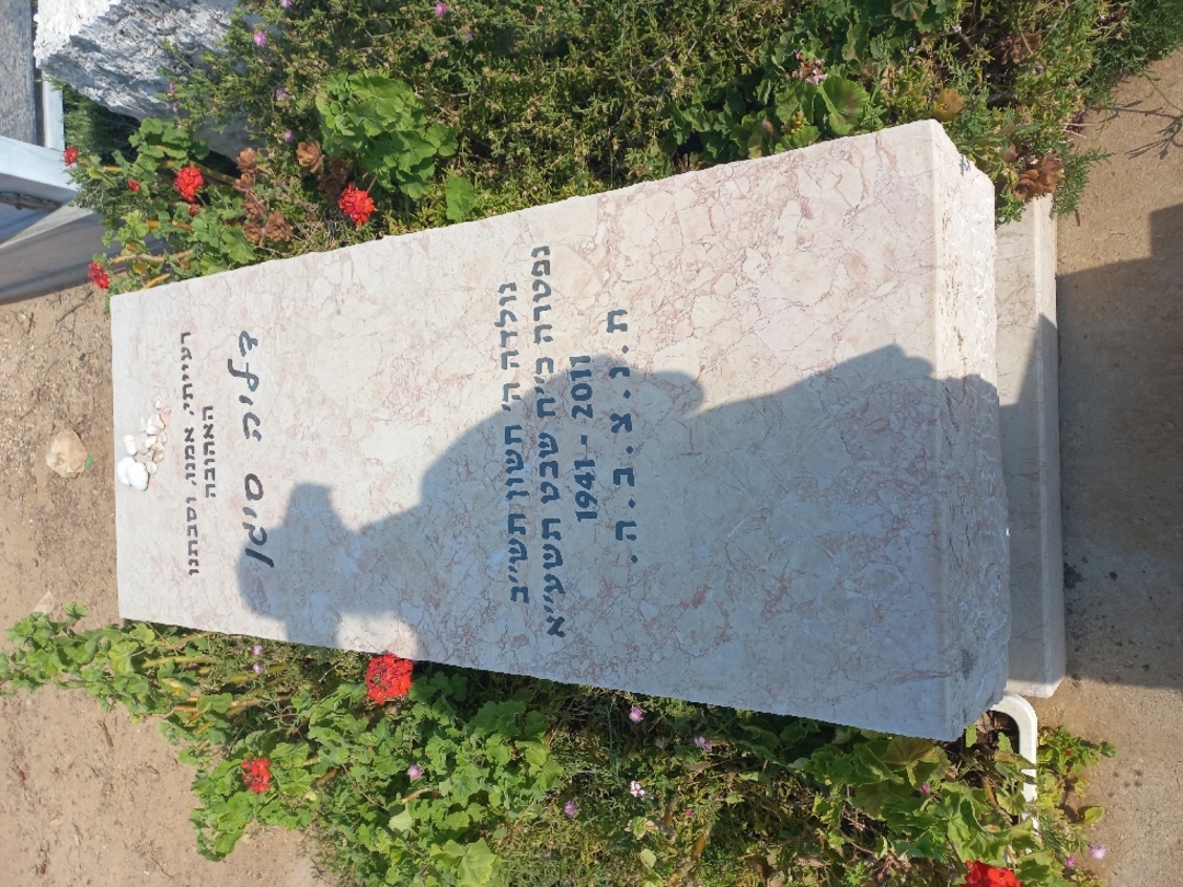 קברו של דליה סיגן