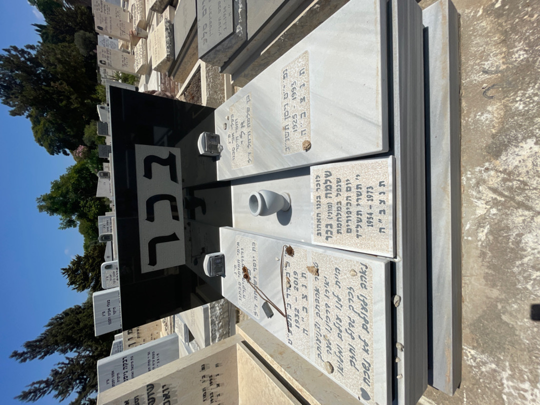 קברו של שלמה "מוני" בכר. תמונה 1