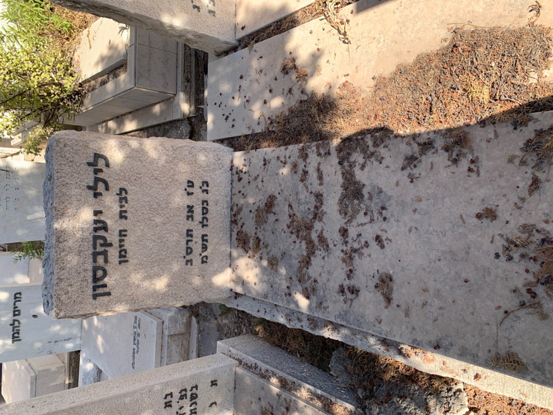 קברו של לילי יעקבסון. תמונה 2