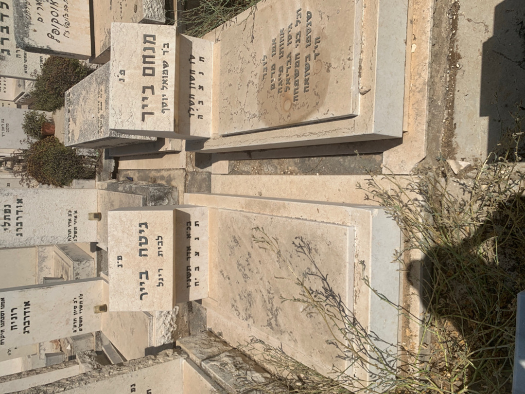 קברו של גבריאל בייר. תמונה 2