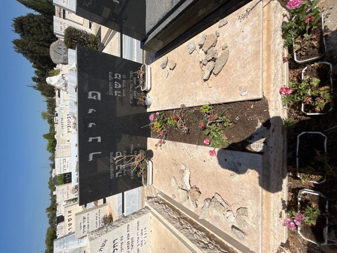 קברו של משה פיינר. תמונה 1