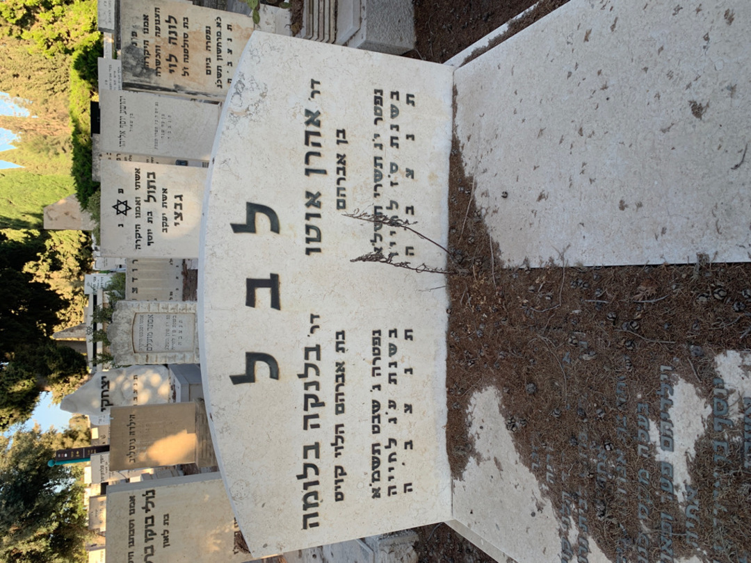 קברו של אברהם הלוי קויט. תמונה 1
