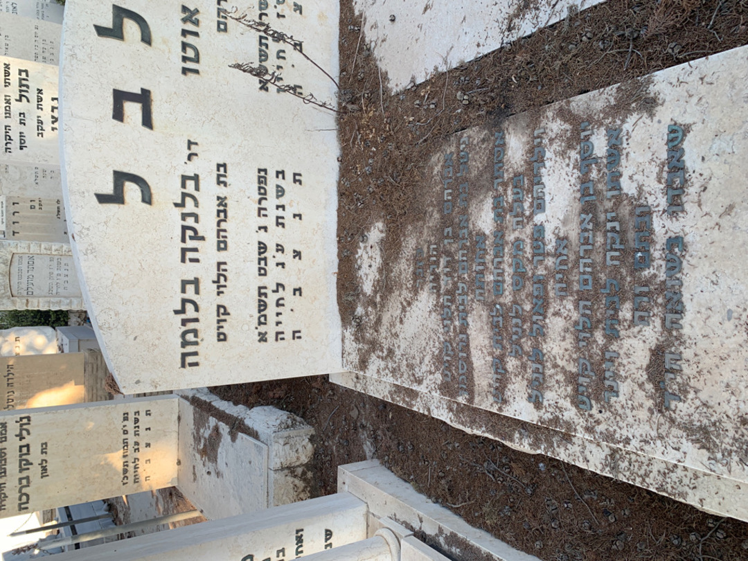 קברו של אברהם הלוי קויט. תמונה 2