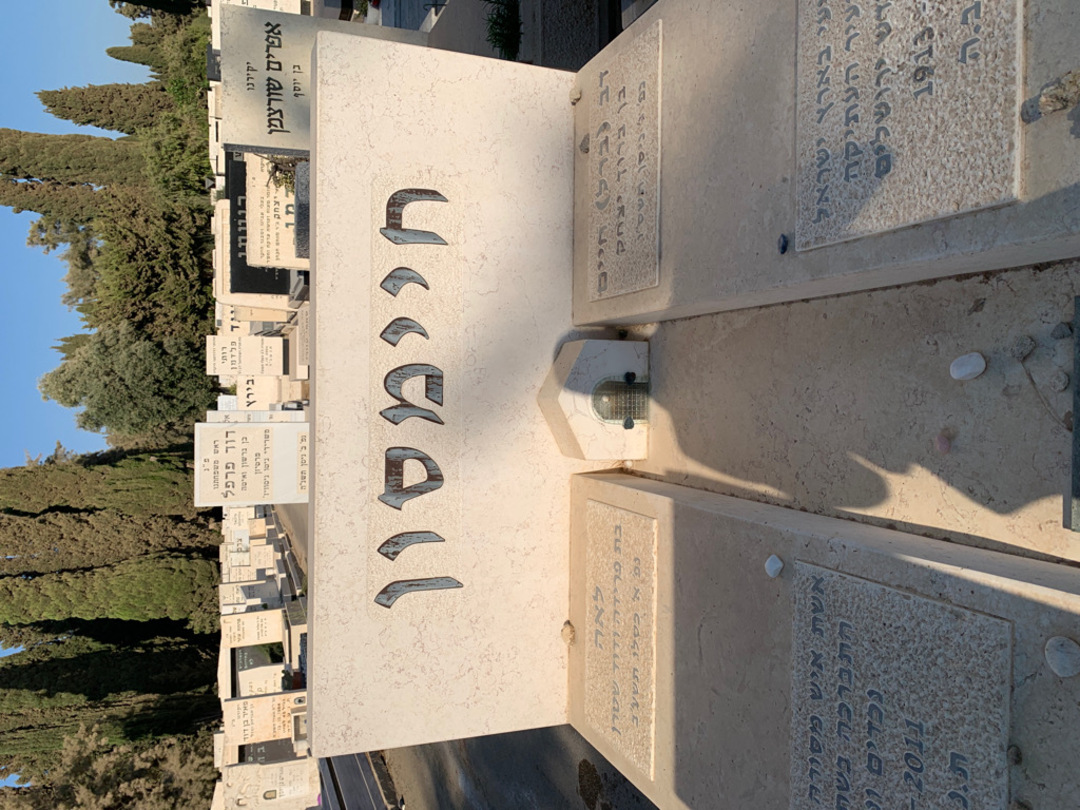 קברו של לאה חיימסון. תמונה 1