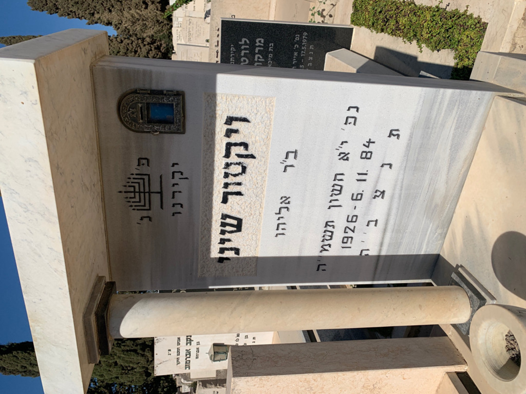 קברו של ויקטור שיני. תמונה 3