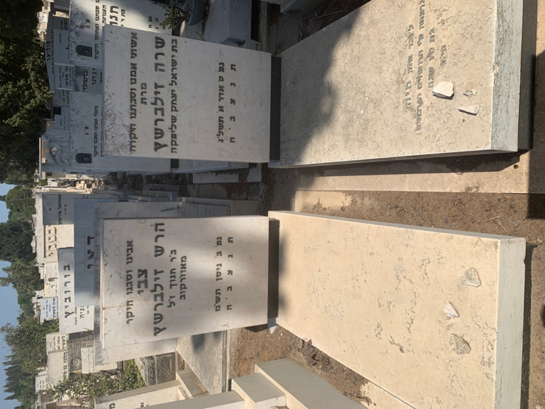 קברו של צבי הרש זילברשץ. תמונה 2