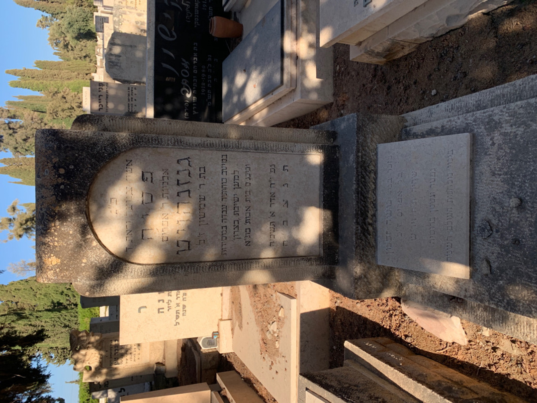 קברו של משה זלמן. תמונה 1