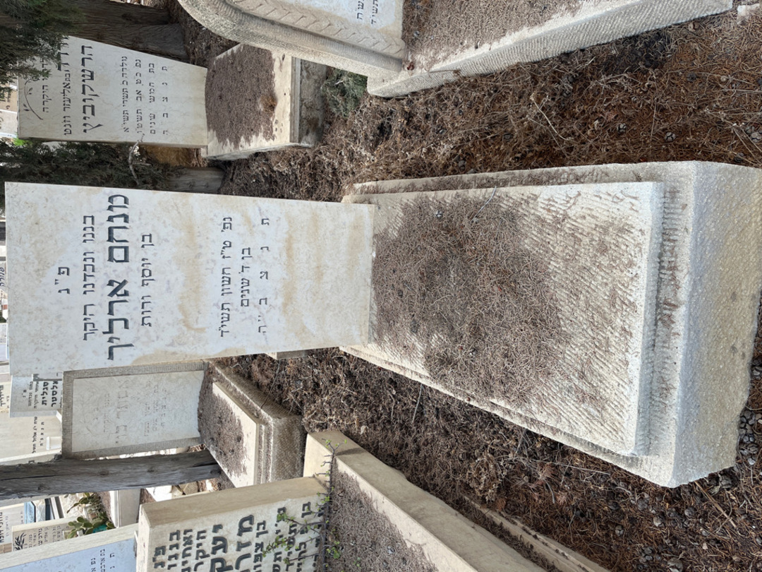 קברו של מנחם ארליך