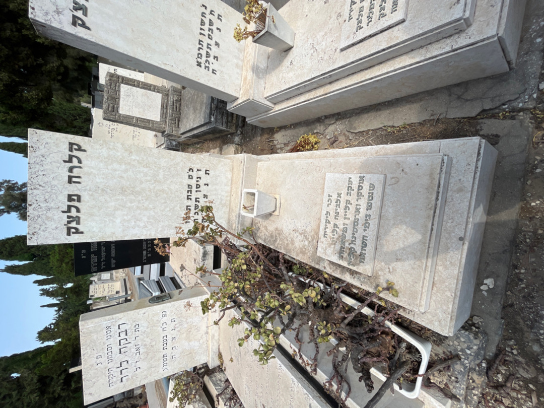 קברו של אוסקר קליין. תמונה 2