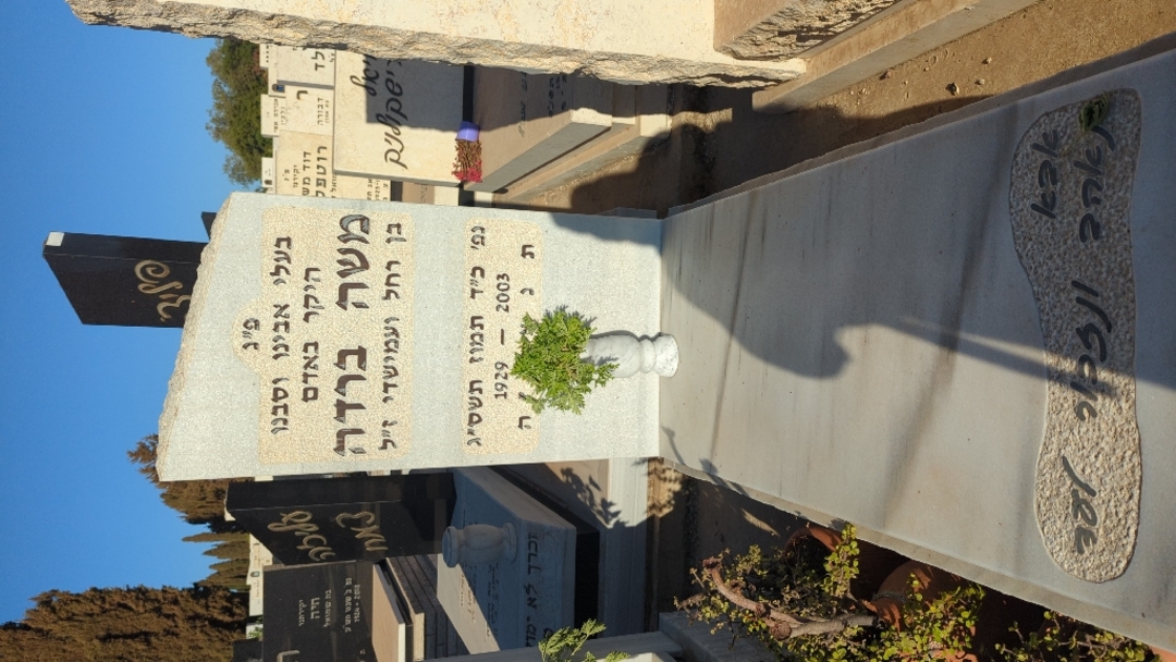 קברו של משה ברדה
