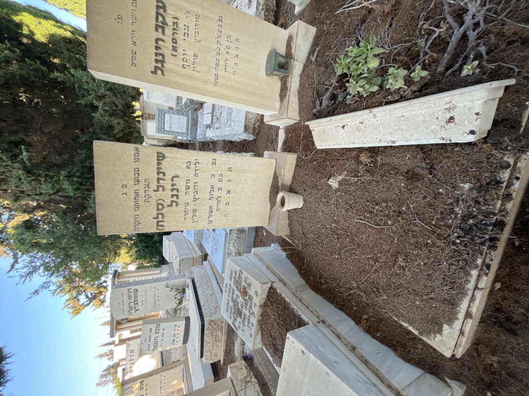 קברו של שיינדל "סלה" רינגל. תמונה 2
