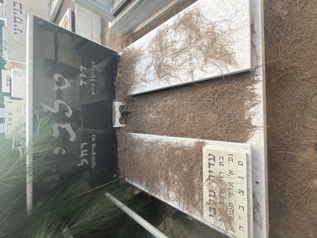 קברו של דוד עלבי. תמונה 1